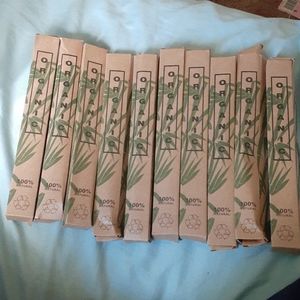 10 bamboo toothbrushs